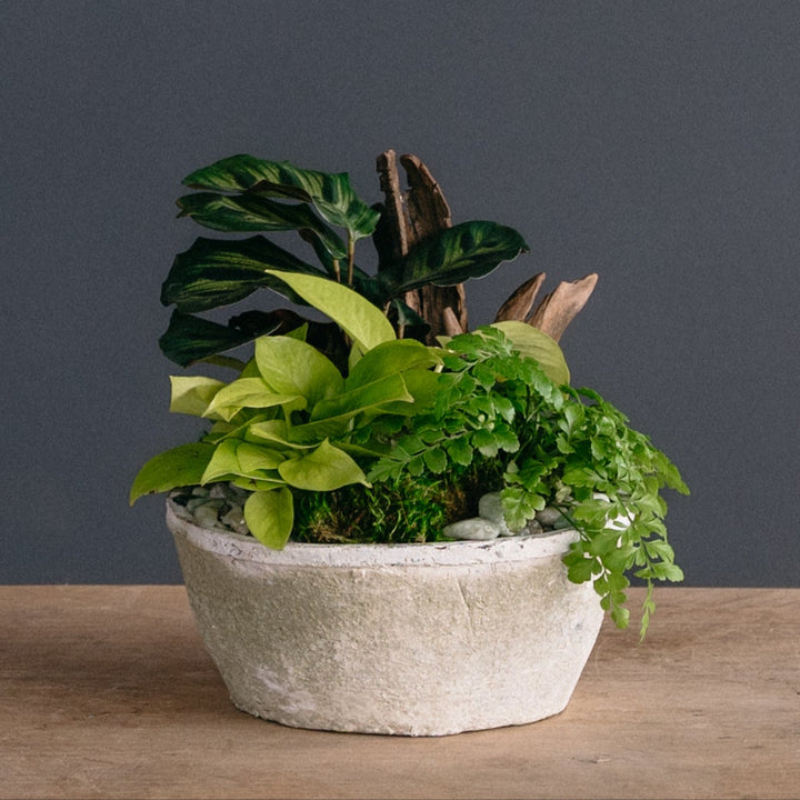 Foliage Bowl of Greens