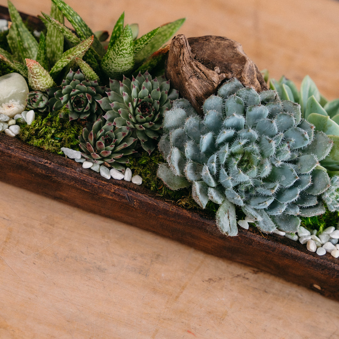 Rustic Desert Tray