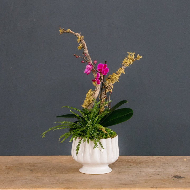 Petite Purple Orchid w/ Spring Fern Arrangement