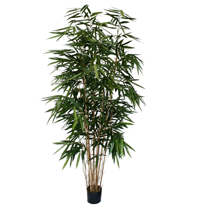 Panda Bamboo Palm 8-10 ft (Faux)