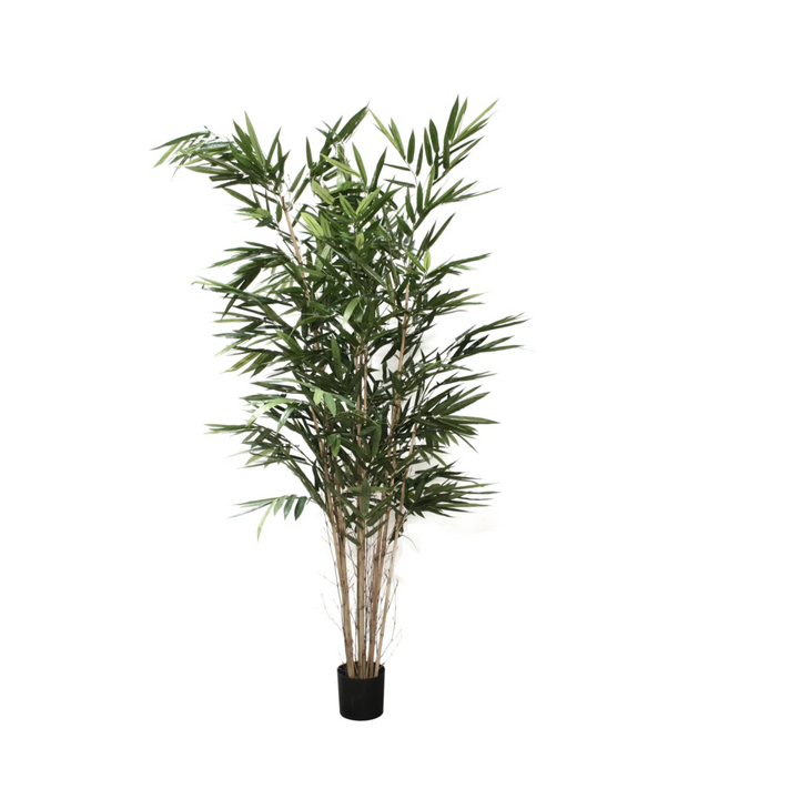 Panda Bamboo Palm 8-10 ft (Faux)