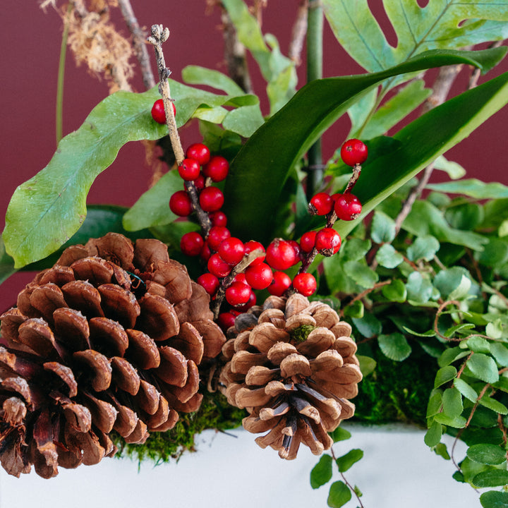 Ice + Berries Arrangement — Large