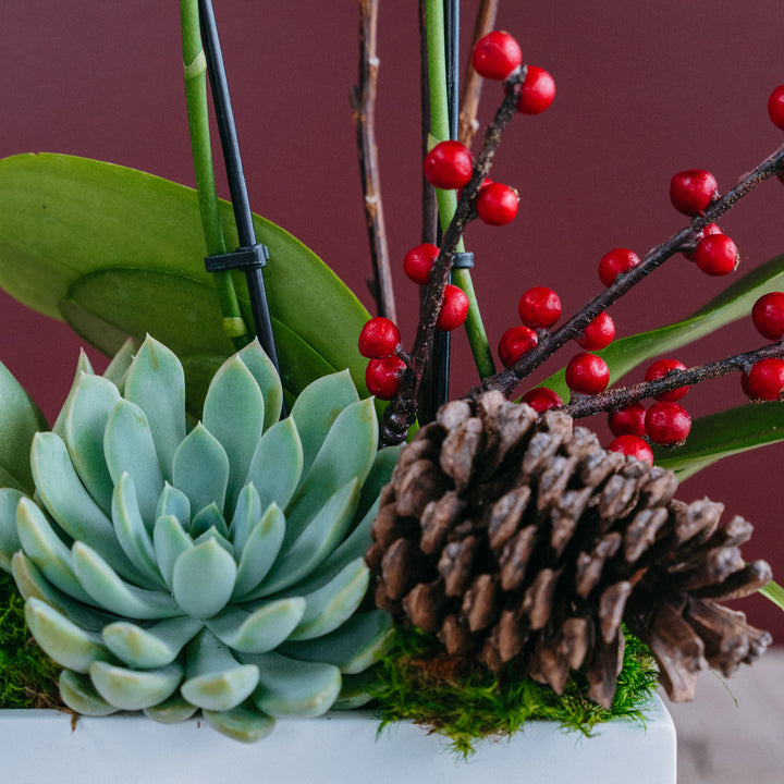 Ice + Berries Arrangement — Small