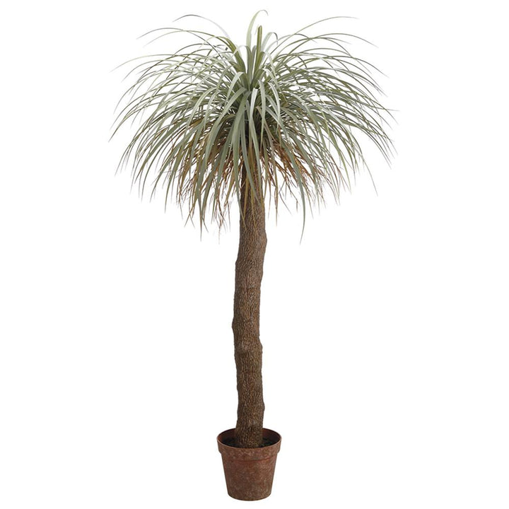 Desert Palm Tree in Pot 31-72" (Faux)