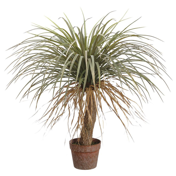 Desert Palm Tree in Pot 31-72" (Faux)